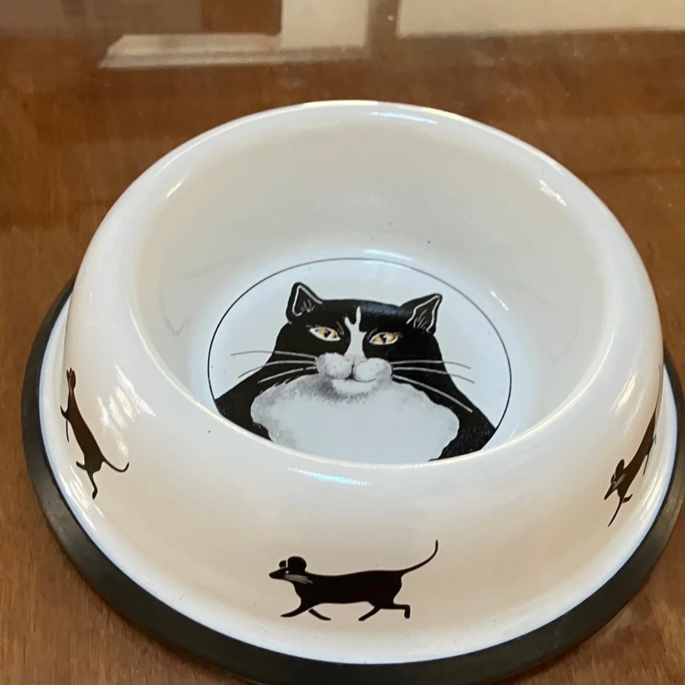 Black and White Cat Bowl